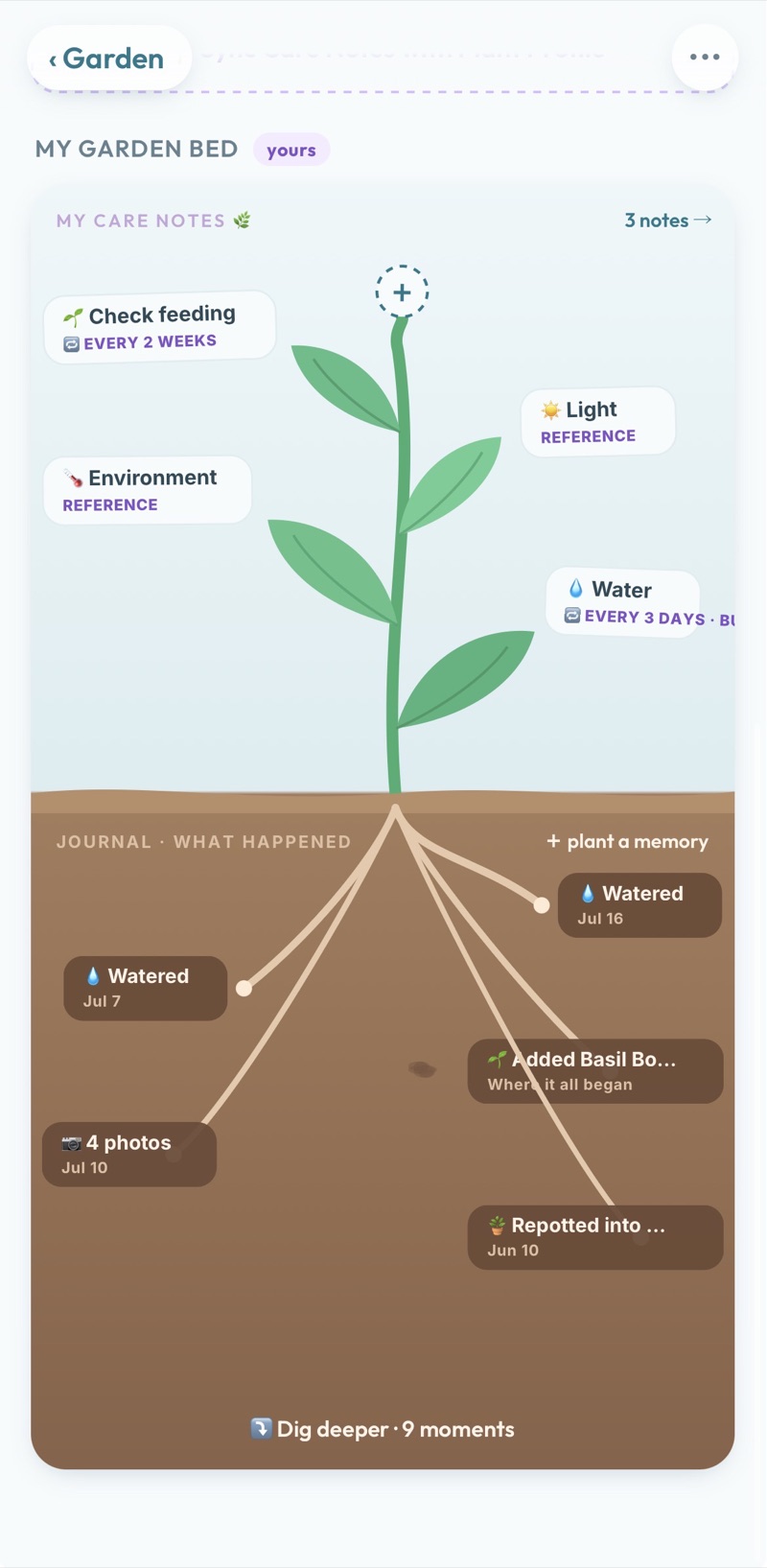 A garden bed in Dewdrop: care notes on the plant above ground, journal memories as roots below
